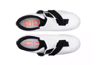 Sidi PRIMA