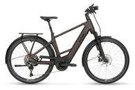 Stevens Bikes E-Triton 9.8.1 Plus
