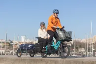 Tern GSD P10