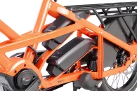 Tern GSD P10