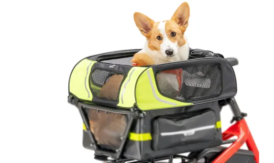 Tern Dog Roof Mini