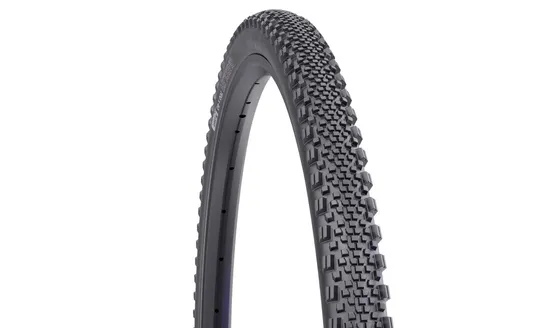 WTB Raddler 40-622 TCS LT/FR 120 D-DNA SG2