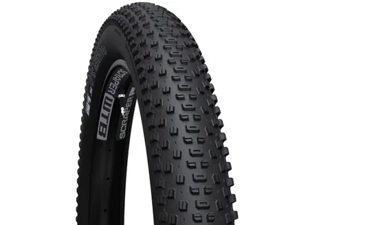 WTB Ranger 3.0 29" TCS LT/FR 60 D-DNA SG2
