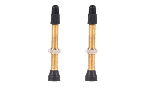 WTB TCS tubeless venttiili presta 46mm